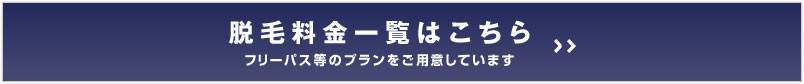脱毛料金一覧はこちら（フリーパス等のプランをご用意しています）